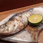 アナゴちらし小町 - 