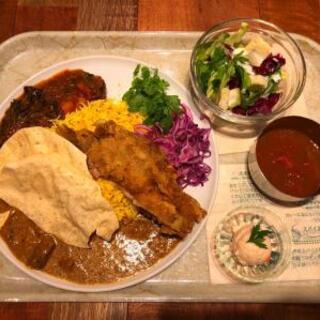 SOUTH WONDER CURRY_0