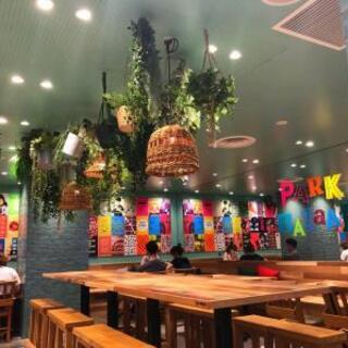 SOUTH WONDER CURRY_2