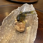 柚木元 - 子持ち鮎様と栗