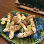 柚木元 - すごい松茸様