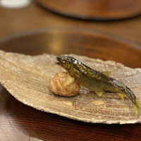 柚木元 - 子持ち鮎様と栗