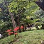 高志の宿 高島屋 - 