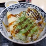 亀家本舗 - ミニ野菜天丼