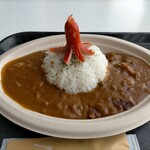 ミライカン キッチン - スペースカレー700円