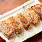 homemade fried Gyoza / Dumpling