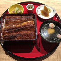 炭焼 うな富士 有楽町店 - 上うな重