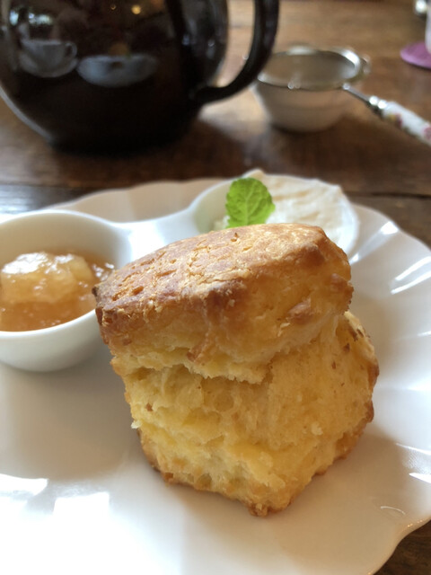 Tekuteku Kocha Ya photo 2