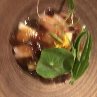 イタリアン オット - 