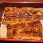 Shinjuku Unagi Kikukawa - 鰻重(椿)