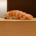 鮨 はしもと - 車海老