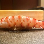 はっこく - 2020.8.  車海老