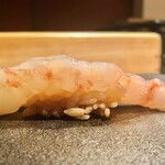 はっこく - 2020.8.  牡丹海老