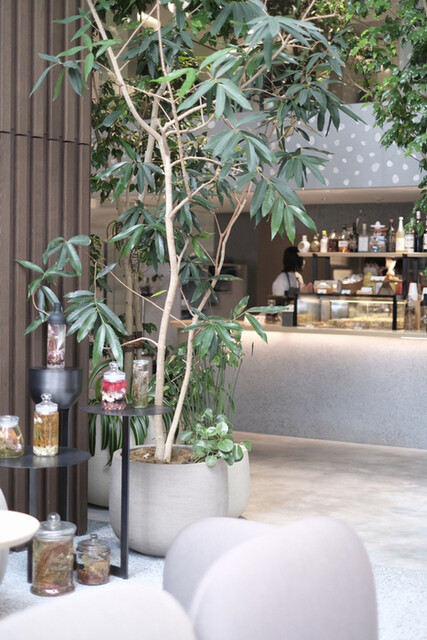Kashiyama Daikanyama Cafe 代官山 カフェ ネット予約可 食べログ Kashiyama Daikanyama Cafe 代官山 カフェ ネット予約可 食べログ