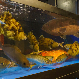 生けすから取り出して調理する鮮魚や日替わりの逸品をお届け