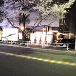 GADES UNO - 夜桜とお店