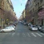 フィオラヴァンテ - 