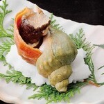 北海道直送！青つぶ貝の浜ゆで（1個）