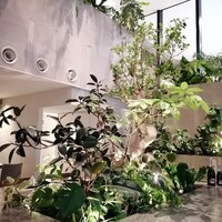 熱香森 - 