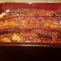 炭焼 うな富士 有楽町店 - 上うな重　4,909円　　