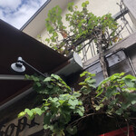 バックシュトゥーベ ツオップ - 葡萄がなってる