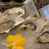 Oysterbar&Wine BELON 渋谷店