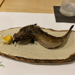 Ajino Shuuka - 