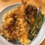 Tendon Tenya - 