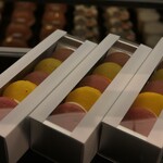 マテリエル - マカロン