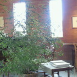 サリーガーデン - キッチンサリー　店内