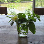 サリーガーデン - カフェ　店内から外を。