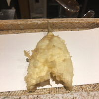 日本橋 蕎ノ字 - 