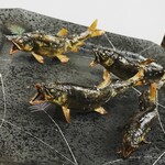 花・味兆 - 中皿