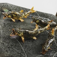 コース一覧 花 味兆 ハナミチョウ 青山一丁目 懐石 会席料理 食べログ