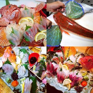 珍しいお魚の鮮度抜群のぷりぷりのお刺身をお楽しみください