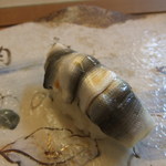 梅乃寿司 - 7/10　新子三枚づけ