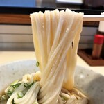 Teshigoto Sanuki Udon Sansan - 冷やかけ　麺リフト