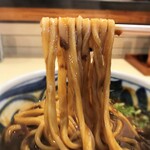 Teshigoto Sanuki Udon Sansan - 鶏天カレー　麺リフト