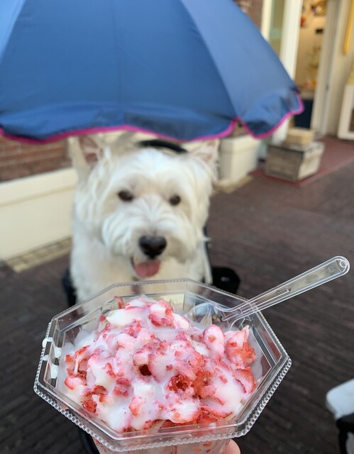 バーベキュー テラス コリーダ q Terrace Corrida ハウステンボス バーベキュー 食べログ