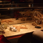 ラトリエ ドゥ ジョエル・ロブション - 