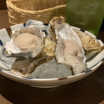Shimakuuma - ・生牡蠣