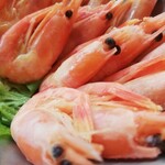 Shrimp Garden - 