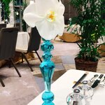 ザ・カハラ ホテル&リゾート 横浜 - 