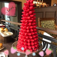 スプレンディード - 