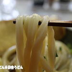 純手打ち讃岐うどん 土三寒六 - うどん