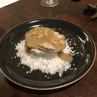 セルサルサーレ - 