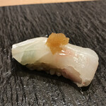 秋葉原 鮨 よこ田 - 