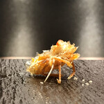 秋葉原 鮨 よこ田 - 