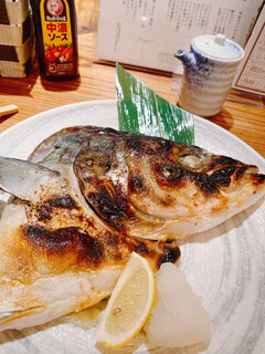 秋葉原魚金 - 鰤カマ塩焼き