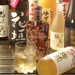 鶏に合う！女子も喜ぶ♪種類豊富な梅酒・日本酒をご用意◎